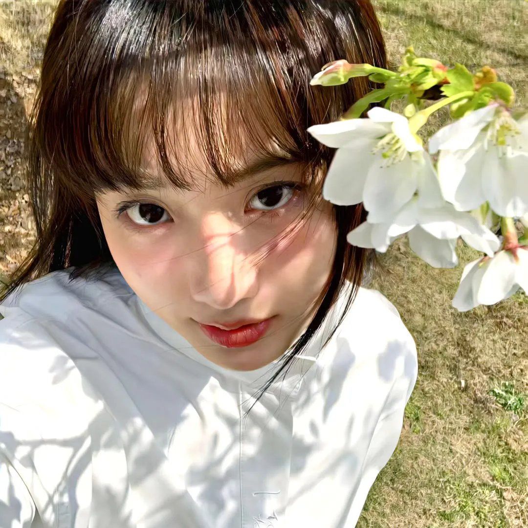 神户盛夏 海报