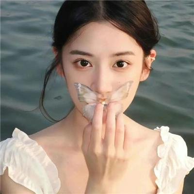 春川律师 海报